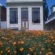 Luxury Living in Historic Bank Haven of Art&Music, Tomales (fotografie 2)