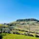 Casa Rafanelli, Monforte dʼAlba (fotografie 10)