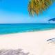 Beach Living at Discovery Point Club, West Bay (zdjęcie 6)