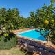 Villa Can LLobera By homevillas360, Pollença (Foto 7)