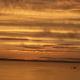 Camping PINUS, Starigrad-Paklenica (photo 10)