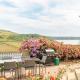 Lower Upover - Woolacombe-4 Bed-Sleeps 7-TJSLUO - Foto 1