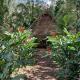 Sun Creek Lodge, Punta Gorda