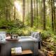 Treetop Hideaway, Sleeps 2 Glacier - Foto 10