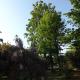 Villa Mirano Bed & Breakfast, Piossasco (foto 5)