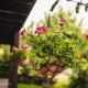 Ethereal Chalet, Colnic - Fotografie 8