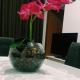 Apartamento inteiro próximo à Miguel Sutil, クイアバ - 写真 7