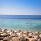Dive Inn Resort, Šarm aš-Šajch - Fotografie 8