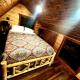 The Windstorm Cabin - Pet-friendly & a 2-person Jacuzzi hot tub! Marshall - Fotografie 10
