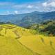 Riz d'Or Ermitage - Hoang Su Phi, Hoàng Su Phì - Fotografie 1