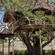 Antonio Beach Tree House Hotel & Spa, Uroa (fotografie 7)