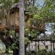 Antonio Beach Tree House Hotel & Spa, Uroa (fotografie 9)