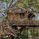 Antonio Beach Tree House Hotel & Spa, Uroa (fotografie 10)