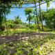 Tra Que Flower Homestay, Hoi An - Fotografie 8