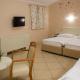Hotel Kozana, Dobrovo (foto 6)