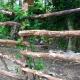 Myricae, Farigliano (foto 7)