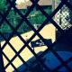 Myricae, Farigliano (foto 8)