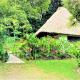 Maya Mountain Lodge, San Ignacio (foto 6)