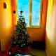 Chic& cosy house with Kars Panorama, Kars (photo 9)