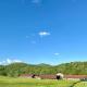 Beatnik Hotel, Bromont (foto 5)