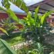 Hotel Munch, Managua (photo 8)