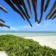 Aya Beach Resort, Kizimkazi (fotografie 4)