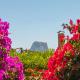 Villa Erik - PlusHolidays Calpe - Fotografie 5