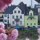 Moselliebe Zell, Zell an der Mosel - Fotografie 7