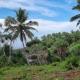 Tehan Homestay, Hiriketiya (foto 6)