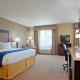Holiday Inn Express & Suites Madison-Verona by IHG - Foto 8