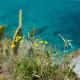 La Meridiana, Capo Vaticano (fotografie 8)