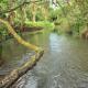 Naiberi River Campsite & Resort, Eldoret - Fotografie 6
