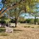 Domaine Harmonie, Crespin (foto 5)