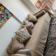 Apartamento condomínio Bech Village Fortaleza, 福塔莱萨 - 照片 7