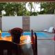 Casa Dos Papagaios, Bonito - Fotografie 4