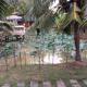 Himawari Restaurant & Cottage, Ban Nong Hin (fotografie 10)