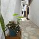 La Casa Del Rio - Cozy Rooms and Coworking, San Cristóbal de Las Casas (fotografie 5)