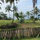 Tehan Homestay, Hiriketiya (foto 7)