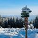 Berggasthof Heuberghaus, direkt am Rennsteig, Friedrichroda - Foto 10