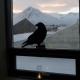 Scenic Penthouse - Ocean view & skylight windows, Siglufjörður (zdjęcie 8)