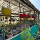 Flower Patch Homestay, Kalimpong - Foto 7