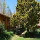 CASAS AMANCAY - Alcohuaz, Alcoguaz (foto 3)