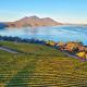 Vineyard Setting With 180 Panoramic Lake Views, Lower Lake - Foto 6