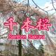 Uji - House - Vacation STAY 5978