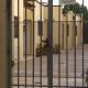 NUESTRO DEPARTAMENTO, Godoy Cruz (fotografie 5)