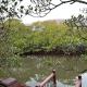 Prek Kdat Resort, Kampot (foto 7)