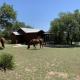 Hill Country Hideout