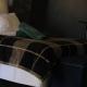 BEULAH GROUP BnB, Malamulele (foto 8)
