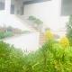 Casinha do mar, Marinha Grande (foto 5)