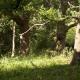 Queenies, an authentic Rural Style coastal cottage in a Nature Reserve, Farnham (fotografie 10)